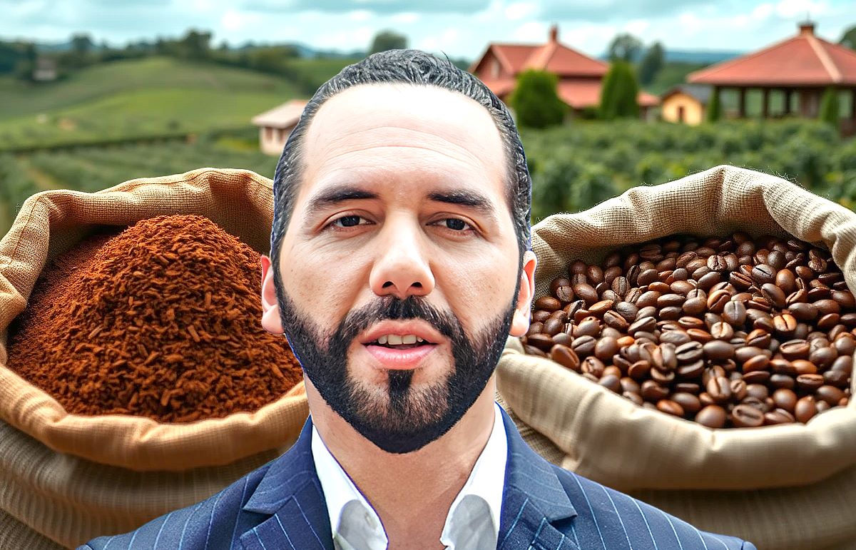 ¿De dónde salió la fortuna cafetalera de Nayib Bukele y su familia? Investigación revela exponencial crecimiento patrimonial